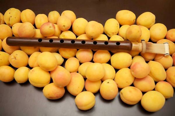 Происхождение, распространение и польза армянского абрикоса - фото