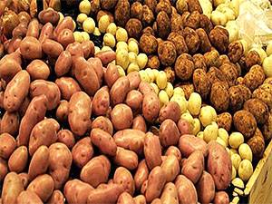 Фото и описание сортов картофеля - фото