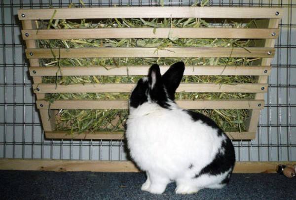Кормушки для кроликов: какие бывают и как сделать самому с фото