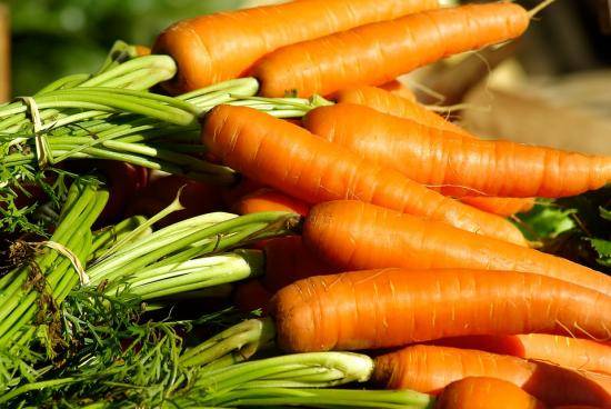 Как вырастить хорошую морковь : все стадии выращивания - фото