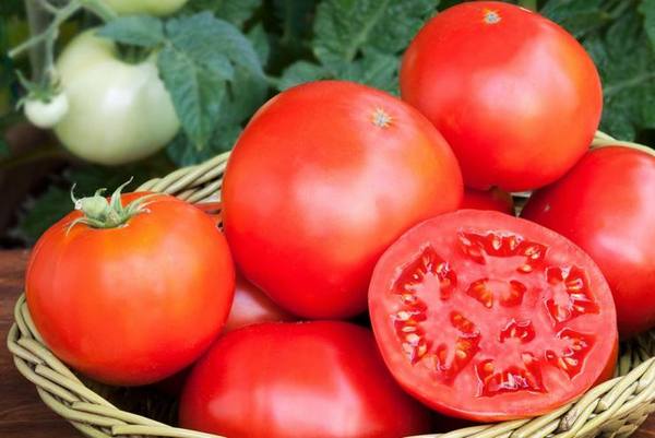 Как заготовить семена томатов самостоятельно - фото