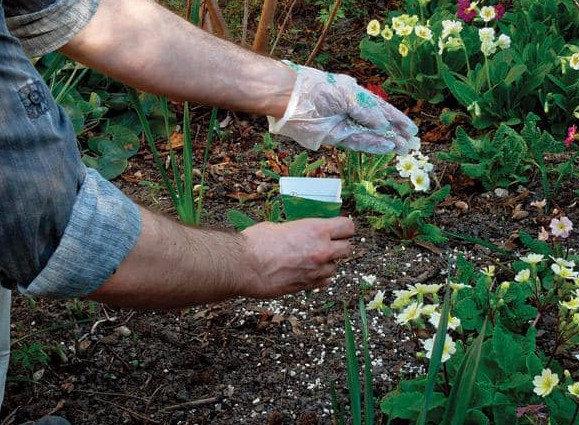 Применение удобрения хлористый калий в саду и огороде - фото