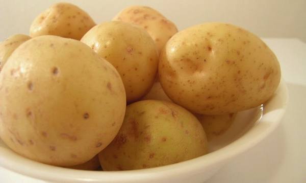 Описание картофеля Молли с фото