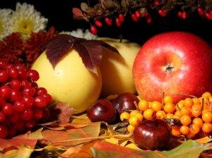 Осенний уход за яблоней - фото
