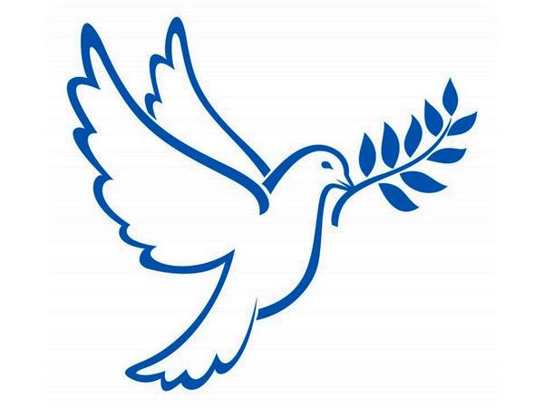 Почему голубь символ мира - фото