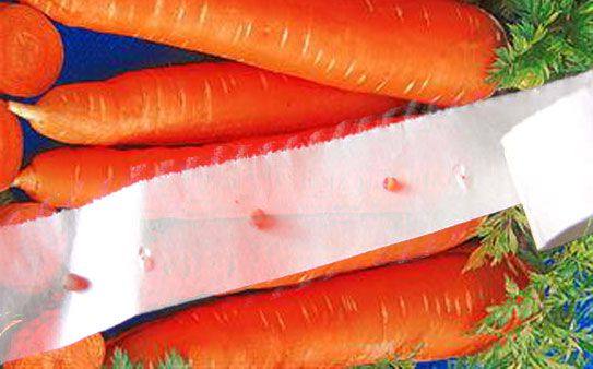 Посадка моркови с помощью туалетной бумаги - фото