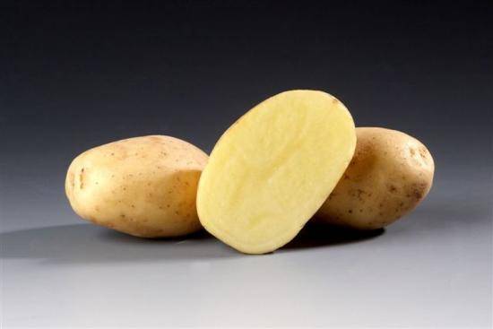 Сорт картофеля Сантана  особенности и разведение с фото