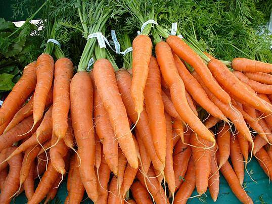 Советы по хранению моркови зимой и лучшие варианты хранения с фото