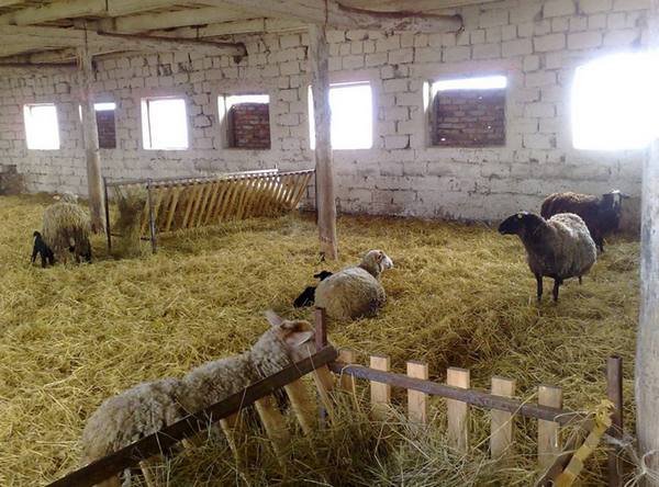 Как построить сарай для овец своими руками  разводим животных с фото