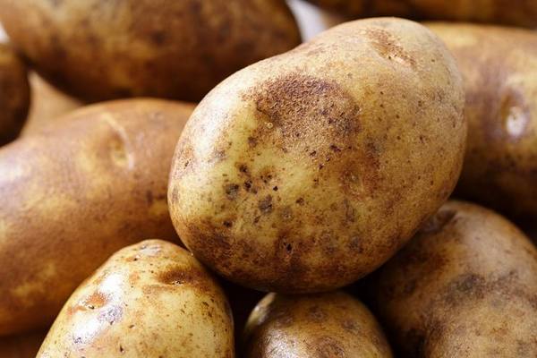 Вкусный картофель: советы по выращиванию с фото